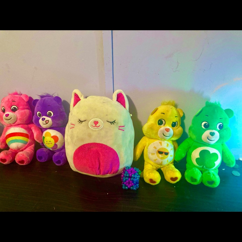 5 plushies and a homemade fidget cube shaker